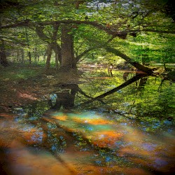 Music for Long Attention Spans, Vol. 25