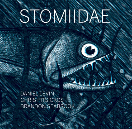 Stomiidae