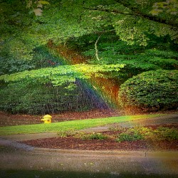 Music for Mental Health Four