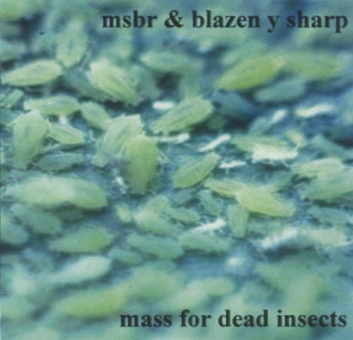 Mass for Dead Insects