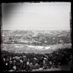 Streams of Consciousness