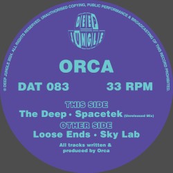 Loose Ends / Sky Lab / The Deep / SpaceTek (unreleased mix)