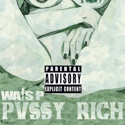 PV$$Y RICH
