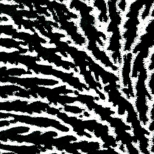 Cover the Windows and the Walls