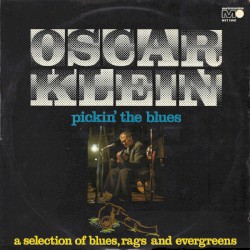 Pickin' the Blues, Vol. 2