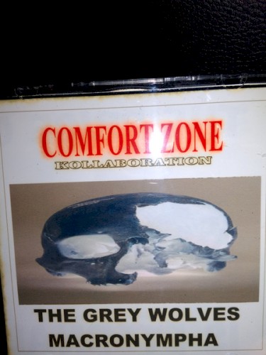 Comfort Zone Kollaboration