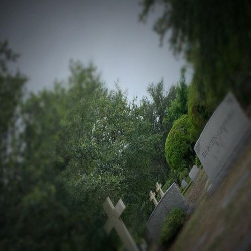 Axajwjn 124643 Jahsnbje