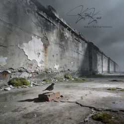 Rodney – End-State Variations