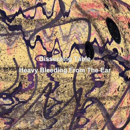 Heavy Bleeding From the Ear