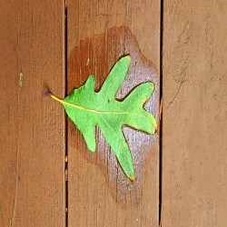 Music for Mental Health Three