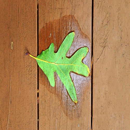 Music for Mental Health Three