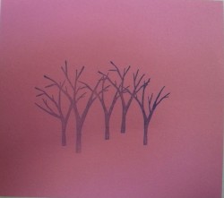 Giants in the Desert