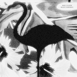 Black Flamingo