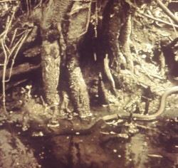 There Was No One There