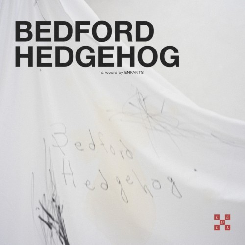 Bedford Hedgehog