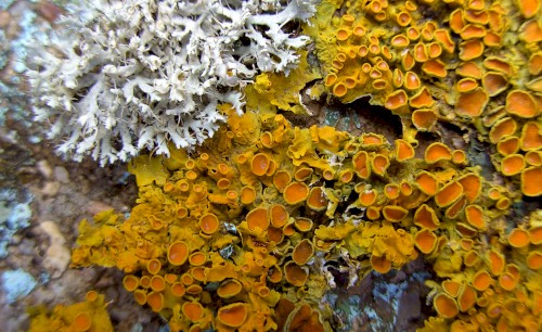 Sun Dial / Illusion of Time