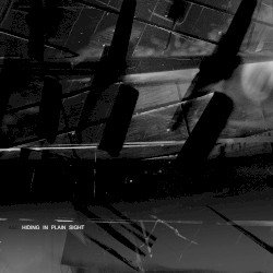 Hiding in Plain Sight