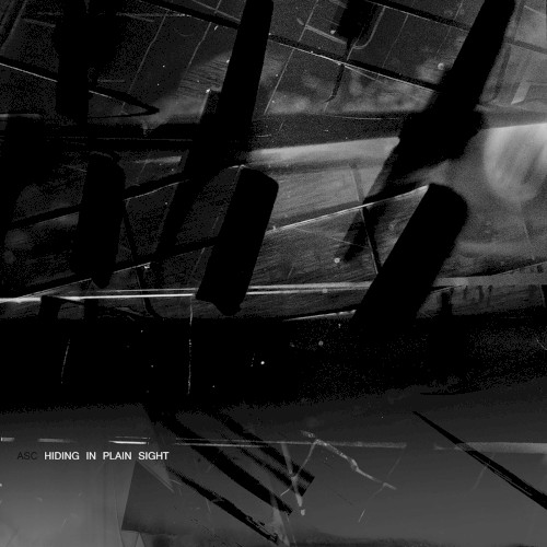 Hiding in Plain Sight