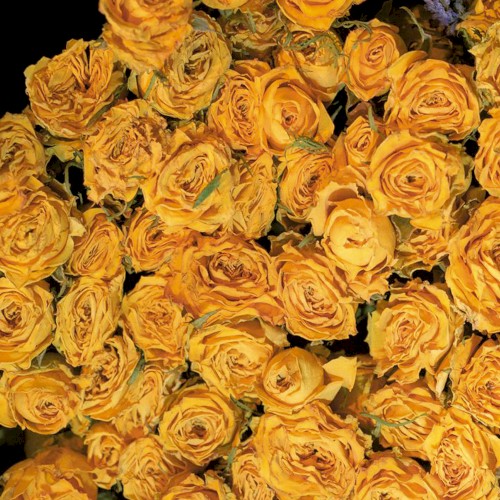 The Place I’ve Been Missing