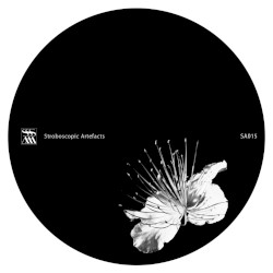 Caos y orden superior / Wars