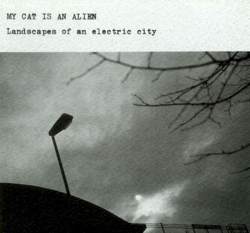 Landscapes of an Electric City