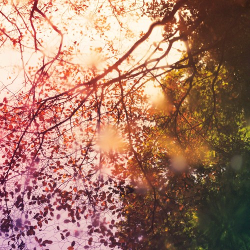 Names of Unknown Places