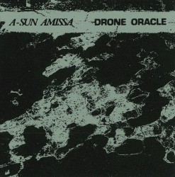 Drone Oracle