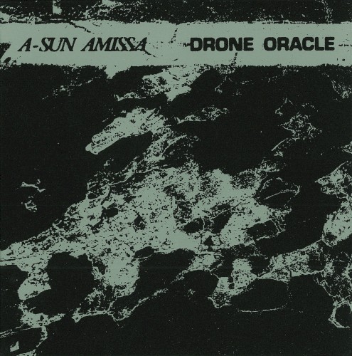 Drone Oracle