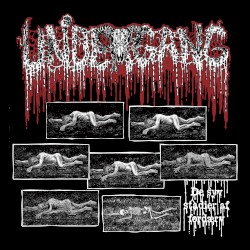 De syv stadier af fordærv