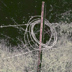 The Swamp Mansion of the Crocodile People / Hellfire & Honeycomb