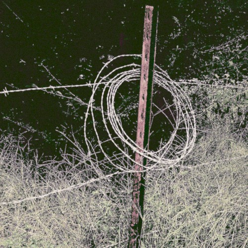 The Swamp Mansion of the Crocodile People / Hellfire & Honeycomb