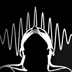 The Collapse of the Wave Function