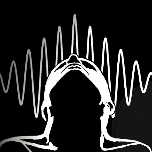 The Collapse of the Wave Function