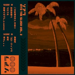 Into The Slush Vol. 2