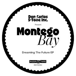 Dreaming the Future EP