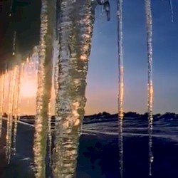 ⋆꙳•̩̩͙❅*̩̩͙‧͙