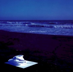 Works for Everything