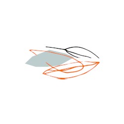 I suppose I'm your future