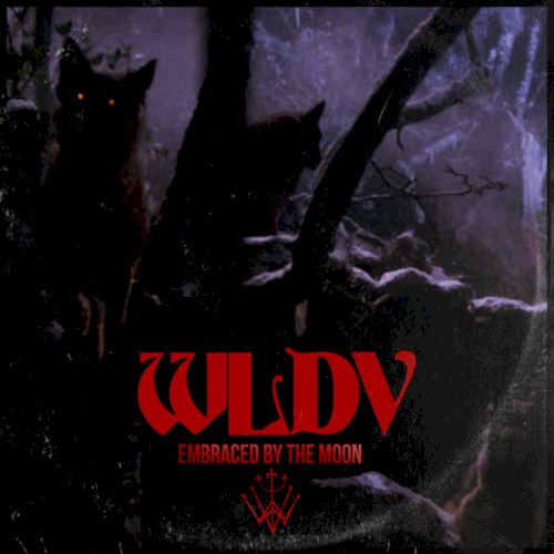 Embraced by the Moon