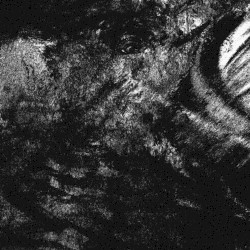 Your prayers, your ardent desire to choose your own paths and push forward, they surpassed even my own.