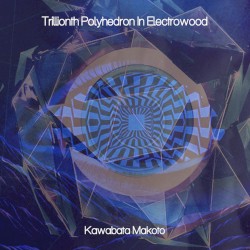 Trillionth Polyhedron in Electrowood