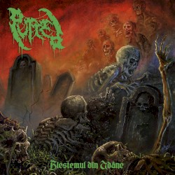 Blestemul Din Adânc