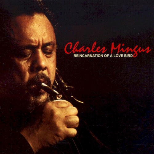 Reincarnation of a Love Bird