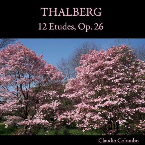 12 Etudes, Op. 26