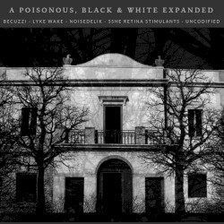 A Poisonous, Black & White Iridescence Across Dangerously Amorphous Urban Landscapes