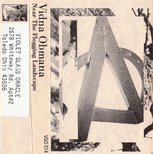 Near the Flogging Landscape