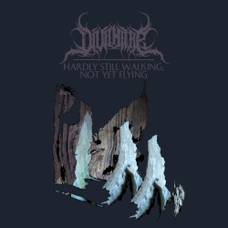 Hardly Still Walking, Not Yet Flying