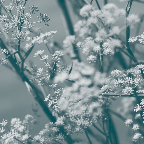 Journey to the Cave of Guanyin