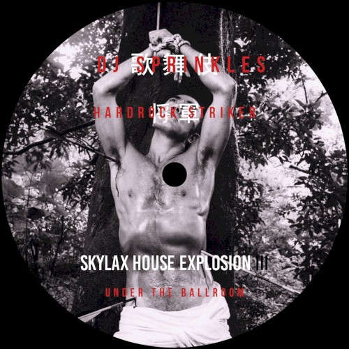 Skylax House Explosion III: Under the Ballroom