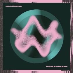 We Collide, We Shatter, We Grow